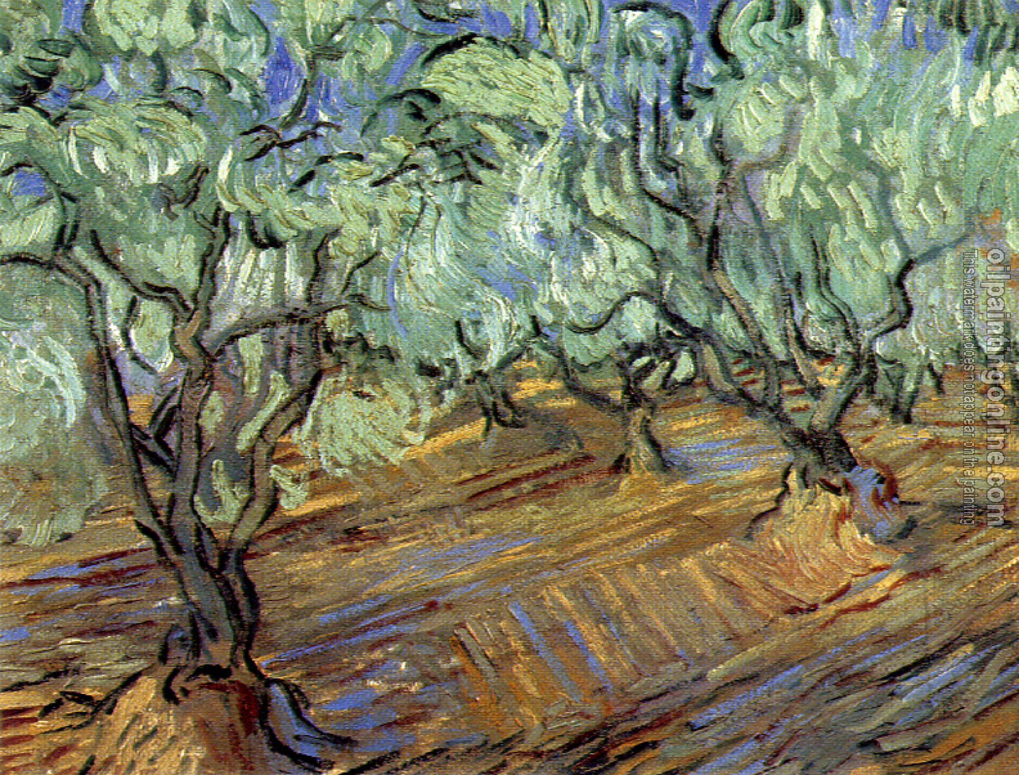 Gogh, Vincent van - Olive Orchard